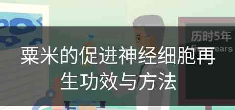 粟米的促进神经细胞再生功效与方法